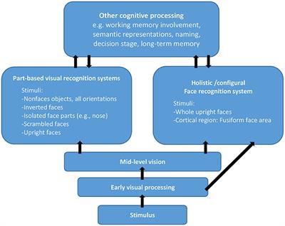 Influence of Perceptual Discriminability and Spatial Distance on Holistic Processing of Faces